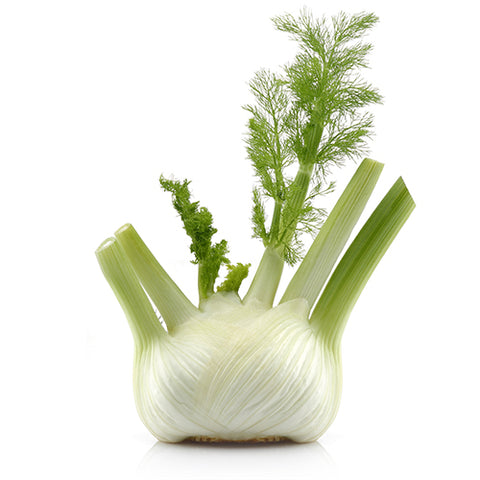 Fenchel